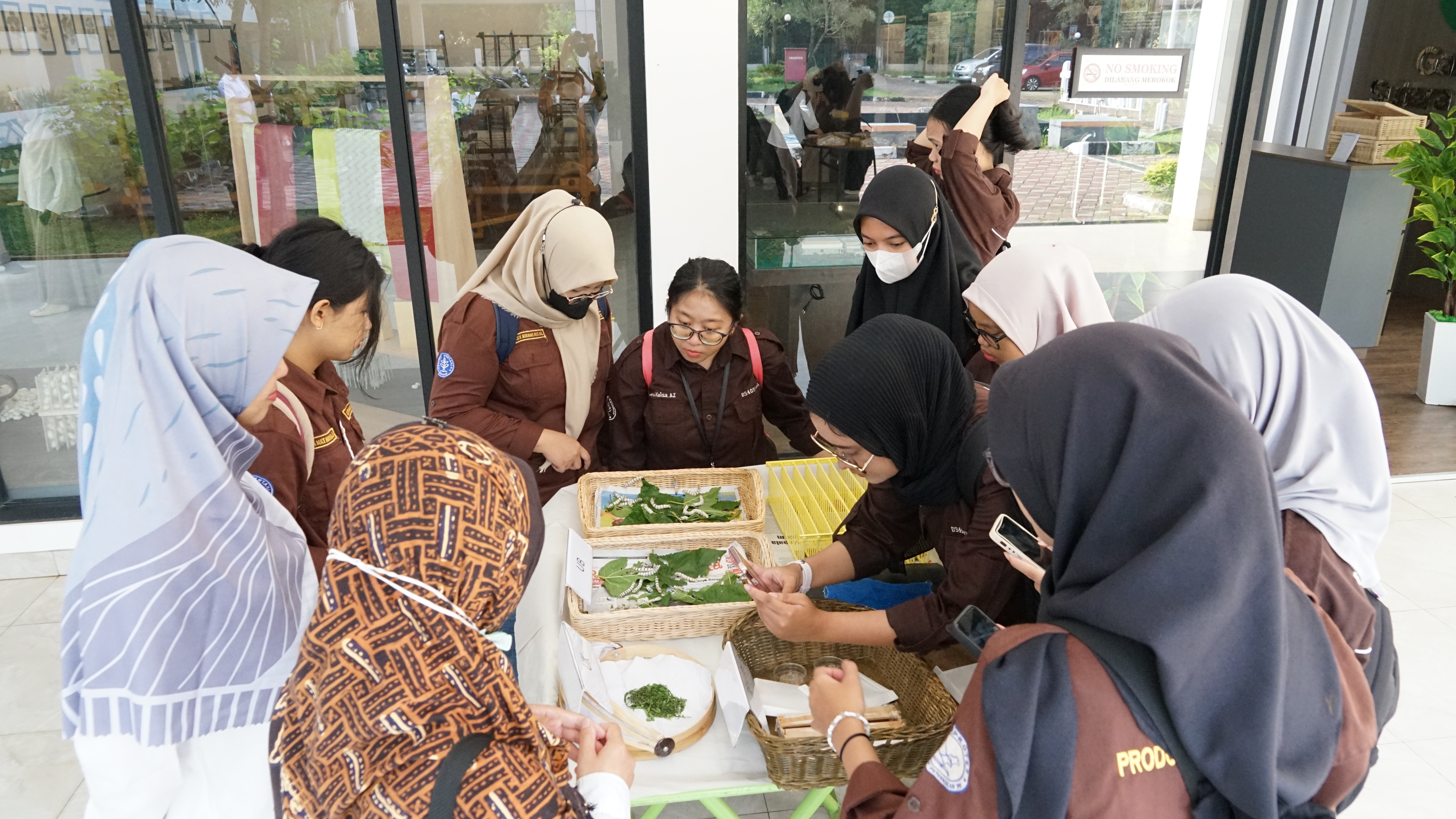 Laboratorium Sutera Alam Indonesia (LSAI) Transfer Ilmu Budi Daya Ulat Sutera  Bersama Mahasiswa Fak
