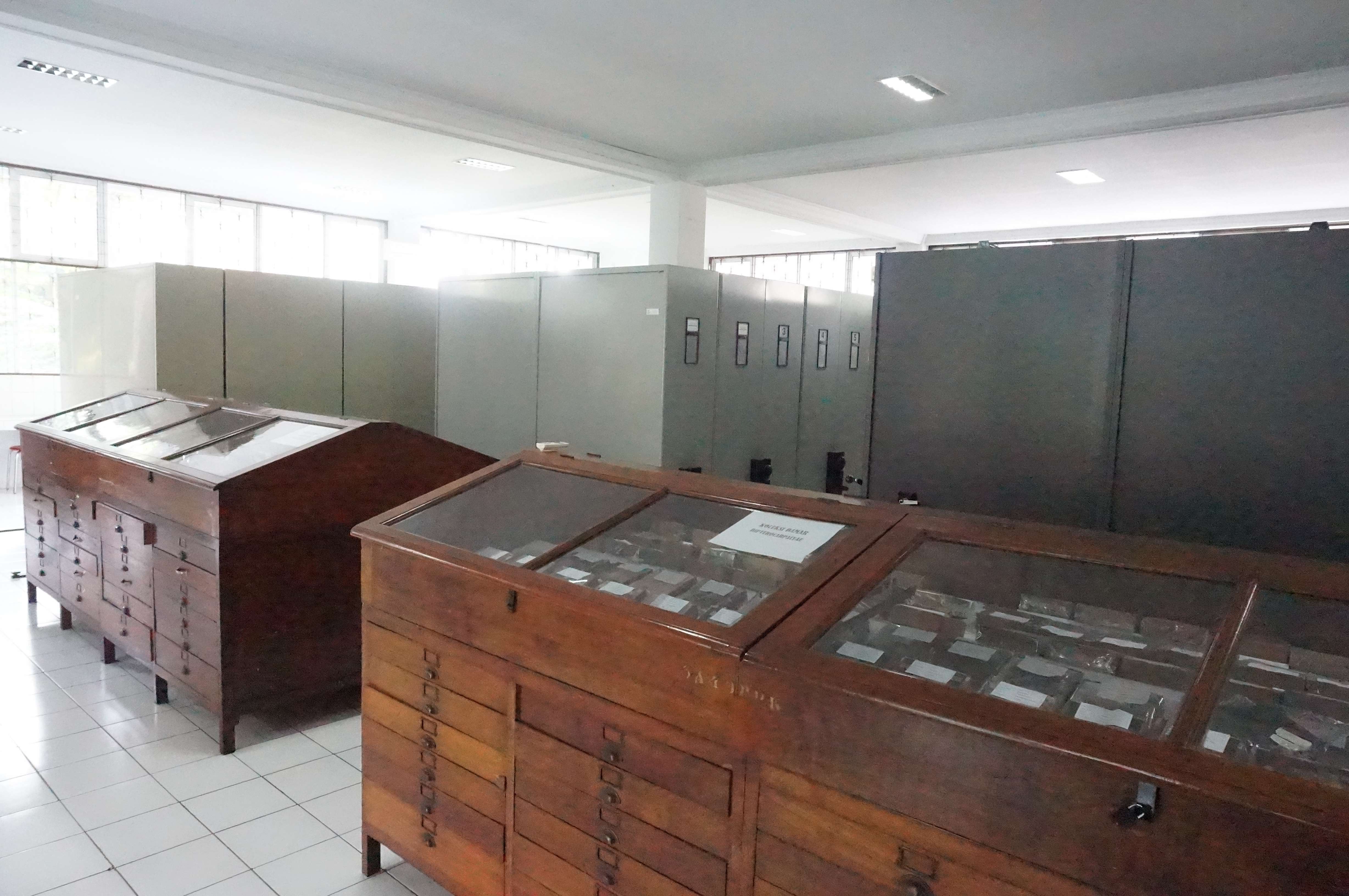 Herbarium Botani Hutan